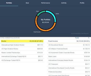 Portfolio Example